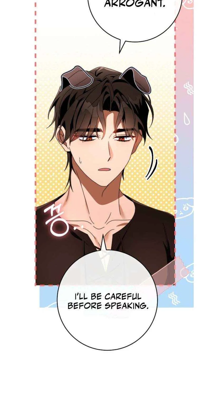 It's My Destiny to Be Hero's Savior Chapter 151 page 37 - 
