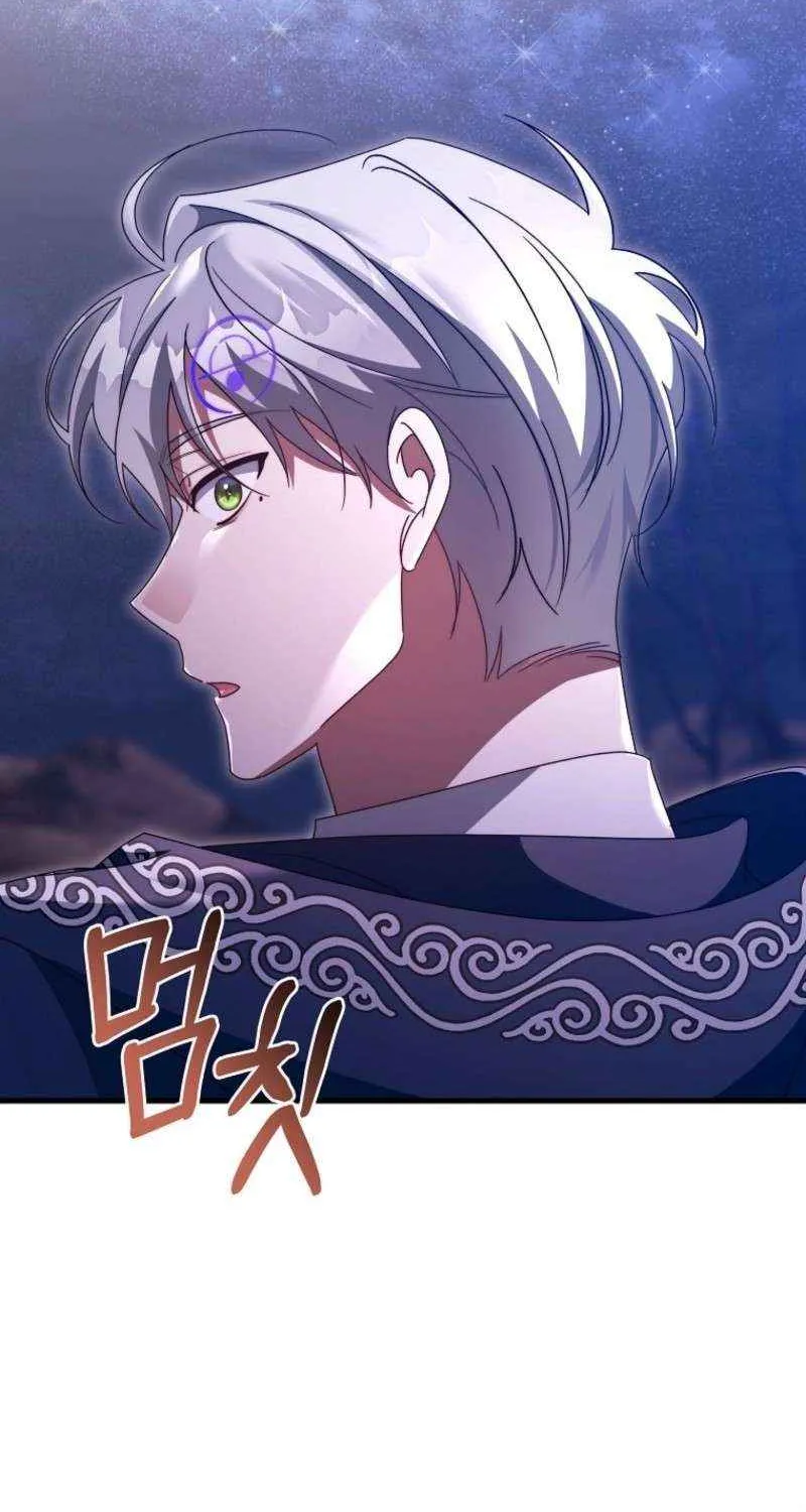 It's My Destiny to Be Hero's Savior Chapter 153 page 101 - 