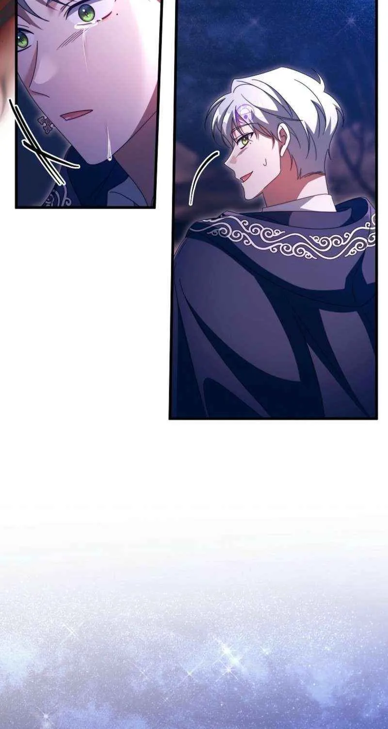 It's My Destiny to Be Hero's Savior Chapter 153 page 100 - 