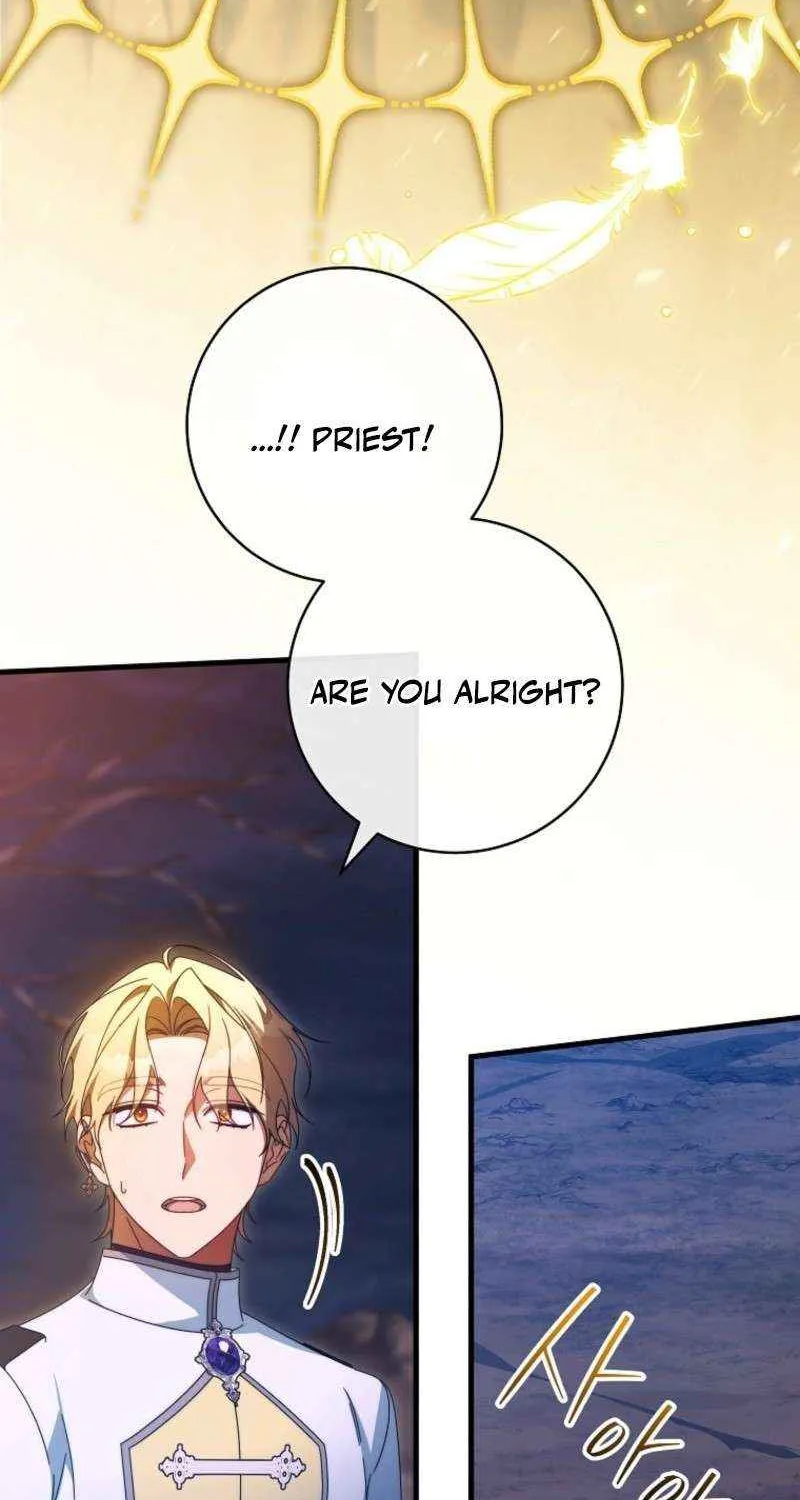 It's My Destiny to Be Hero's Savior Chapter 155 page 27 - 