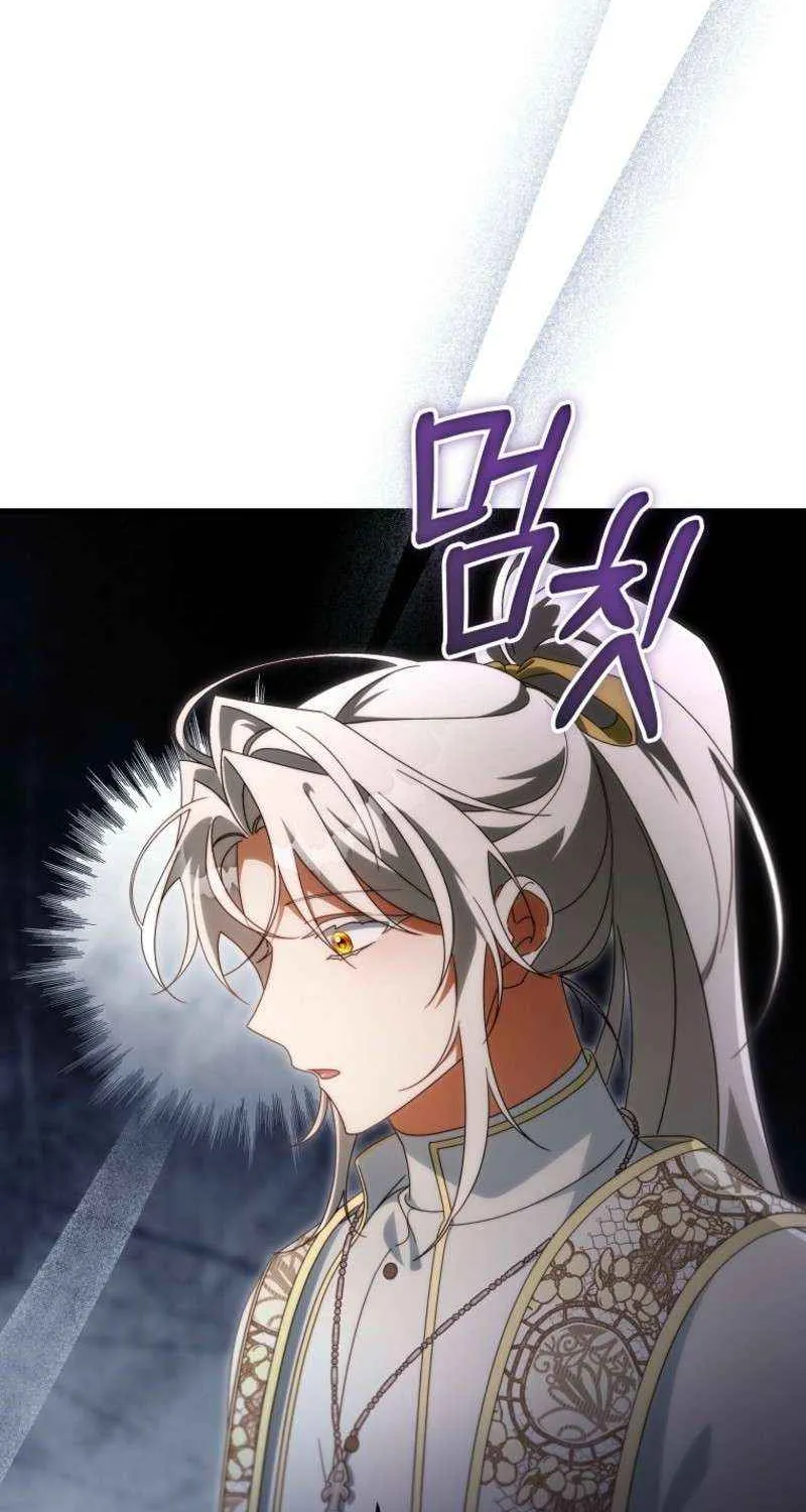It's My Destiny to Be Hero's Savior Chapter 157 page 19 - 