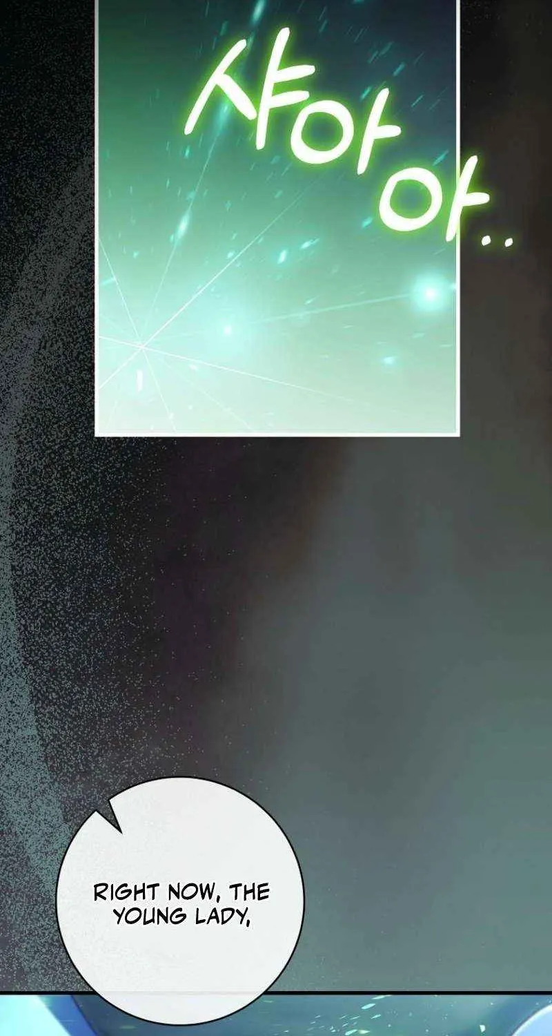 It's My Destiny to Be Hero's Savior Chapter 158 page 98 - 