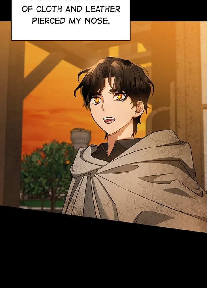 It's My Destiny to Be Hero's Savior Chapter 16 page 33 - 