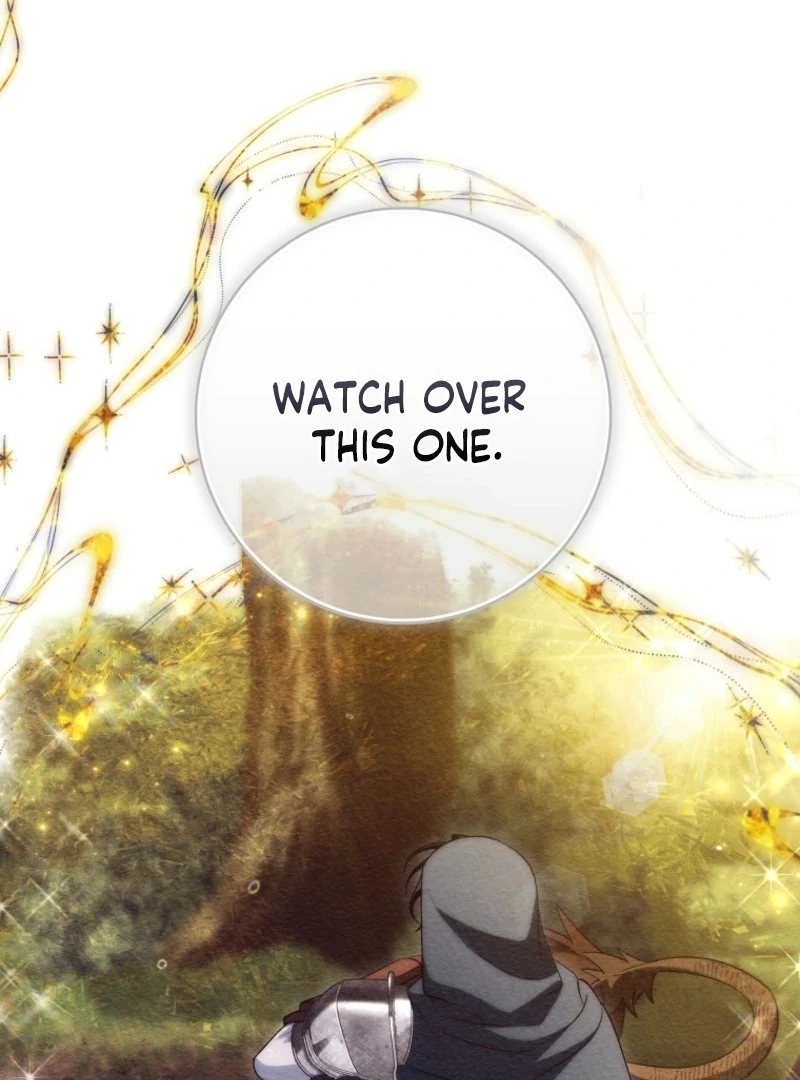 It's My Destiny to Be Hero's Savior Chapter 164 page 142 - 