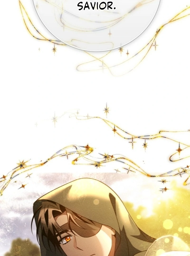 It's My Destiny to Be Hero's Savior Chapter 164 page 145 - 