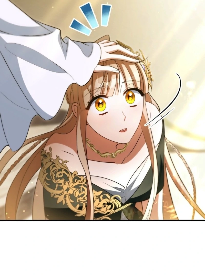 It's My Destiny to Be Hero's Savior Chapter 164 page 150 - 