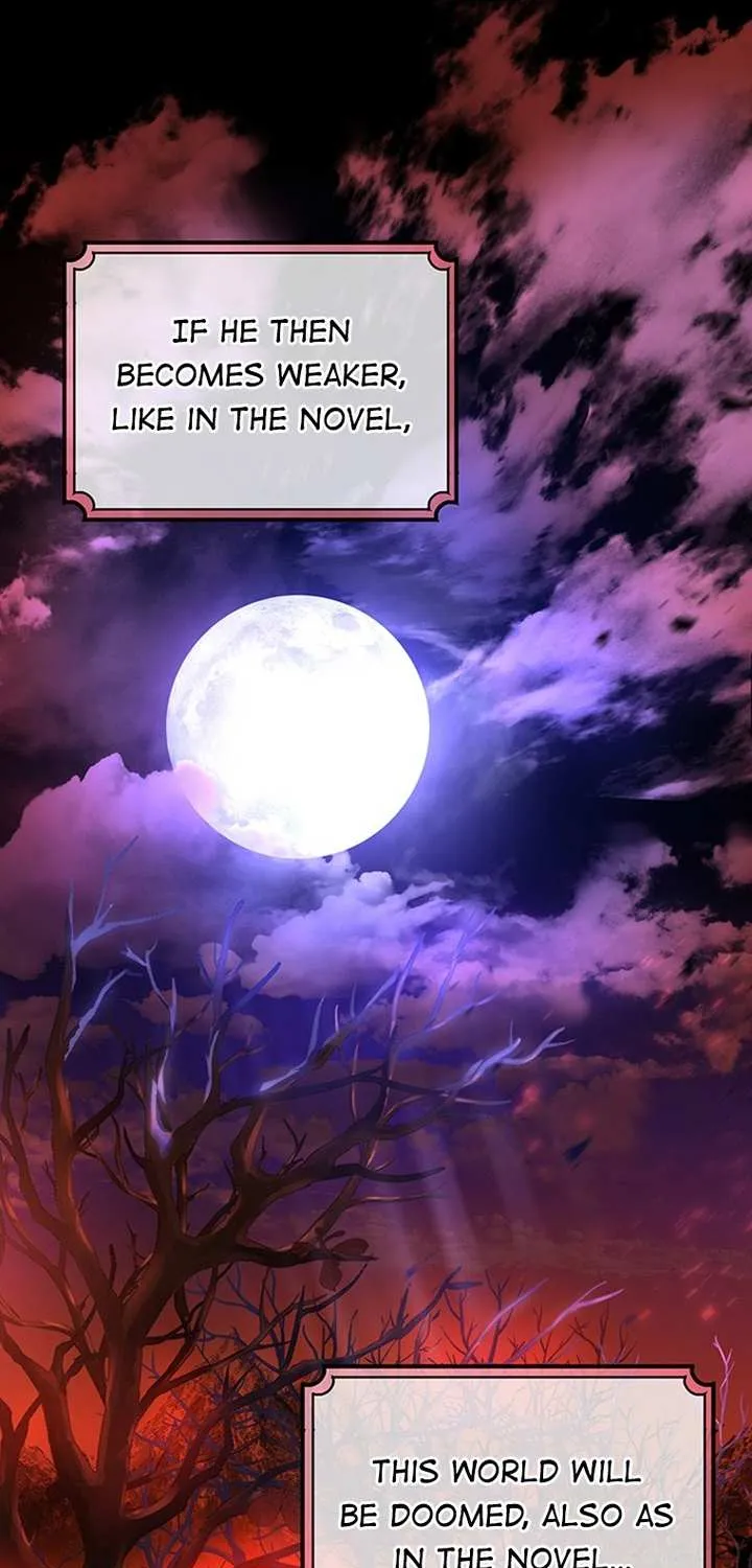 It's My Destiny to Be Hero's Savior Chapter 17 page 25 - 