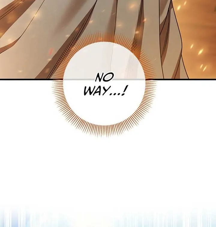 It's My Destiny to Be Hero's Savior Chapter 18 page 75 - 