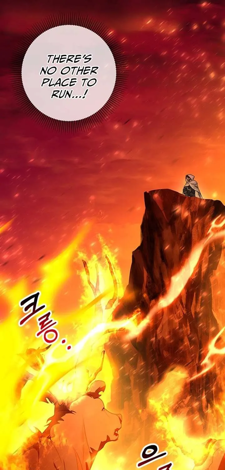 It's My Destiny to Be Hero's Savior Chapter 18 page 91 - 