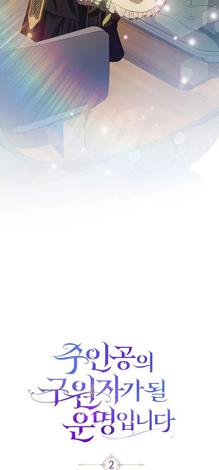 It's My Destiny to Be Hero's Savior Chapter 2 page 47 - 