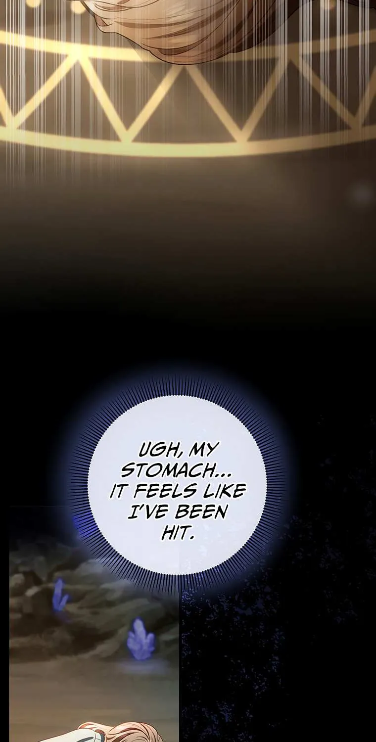 It's My Destiny to Be Hero's Savior Chapter 24 page 110 - 