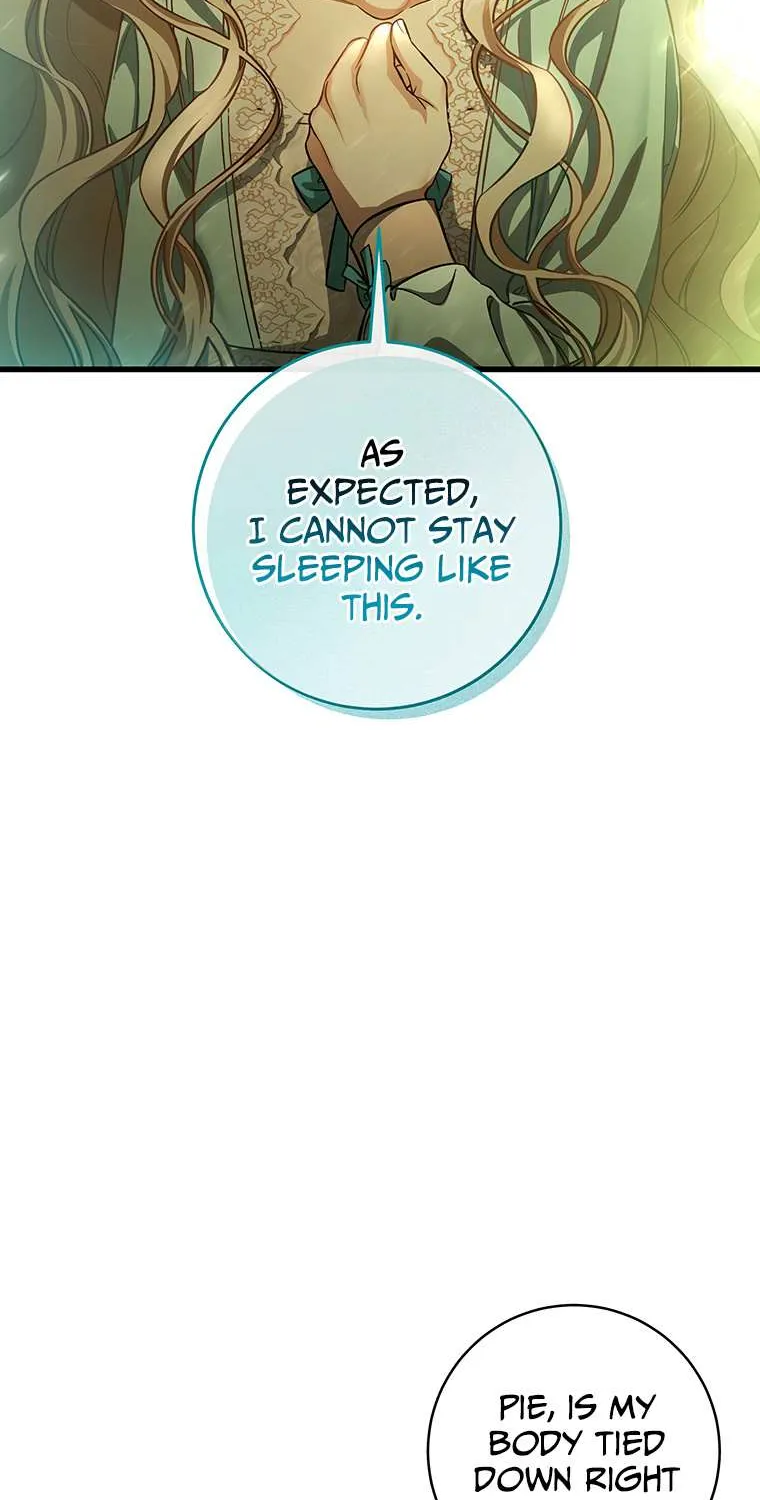 It's My Destiny to Be Hero's Savior Chapter 24 page 61 - 