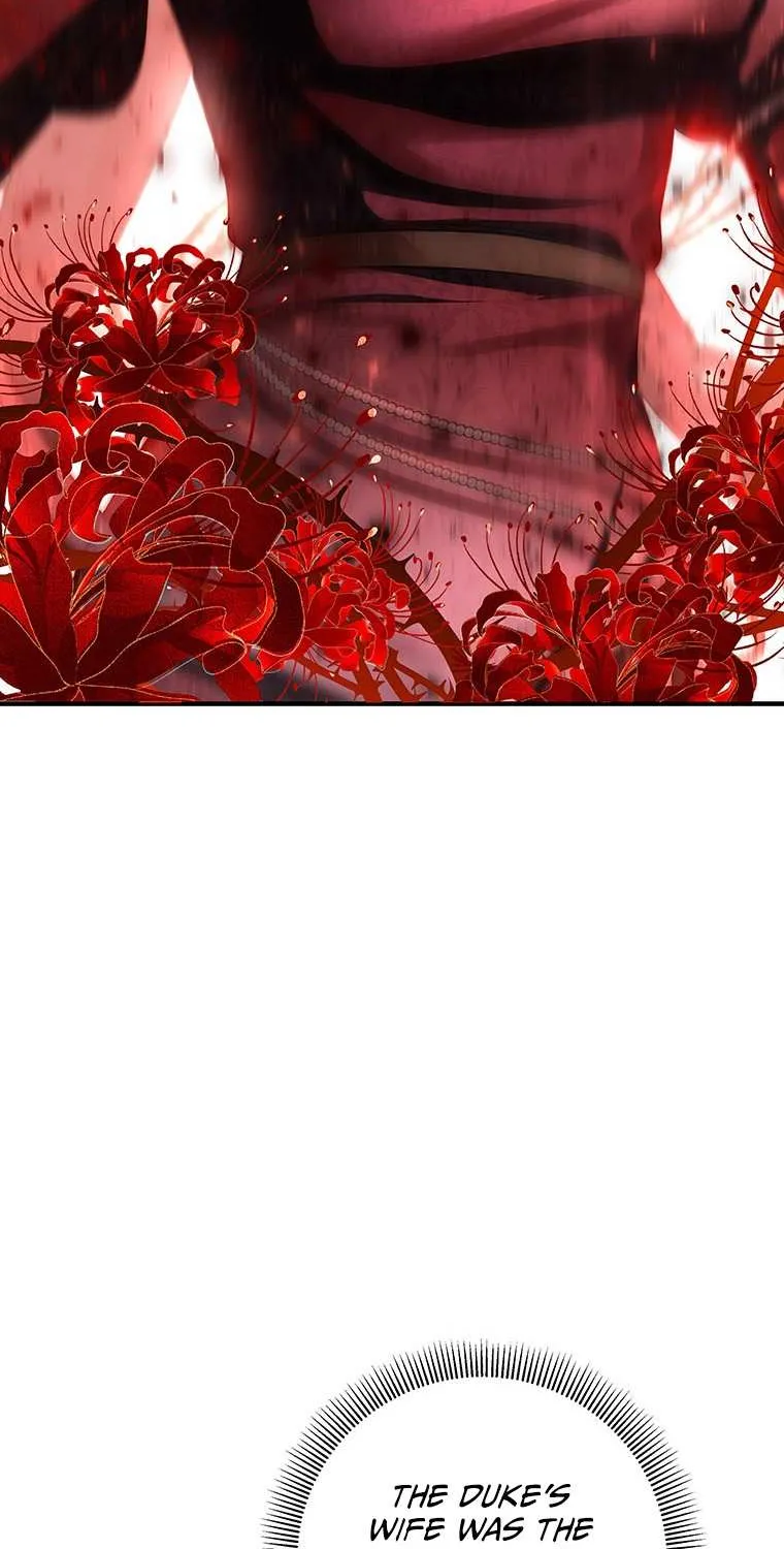 It's My Destiny to Be Hero's Savior Chapter 25 page 72 - 