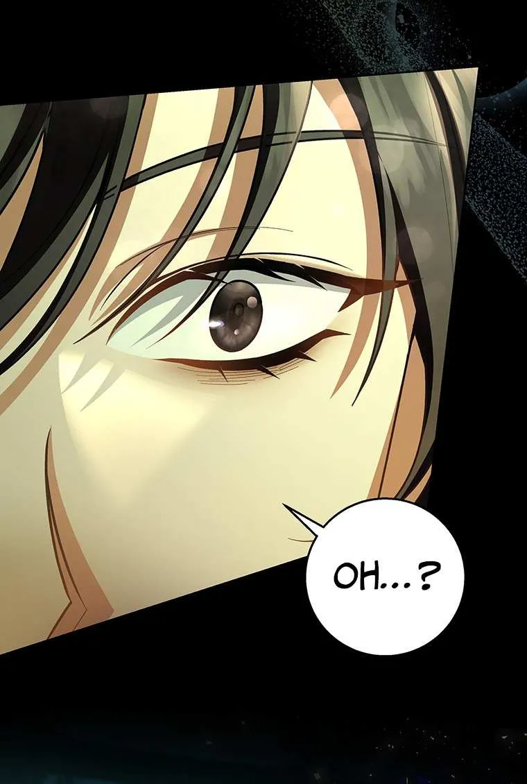 It's My Destiny to Be Hero's Savior Chapter 29 page 8 - 