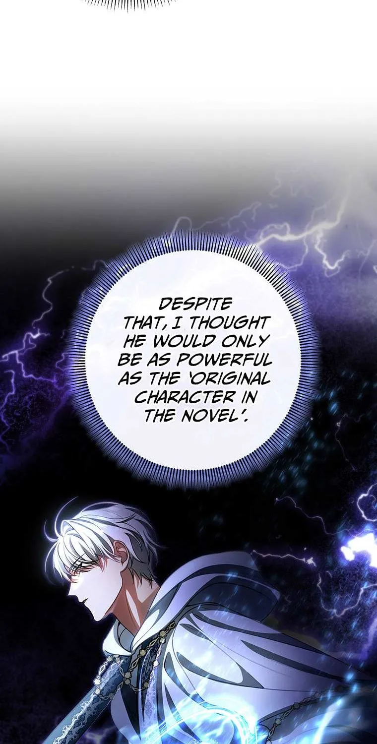 It's My Destiny to Be Hero's Savior Chapter 30 page 9 - 