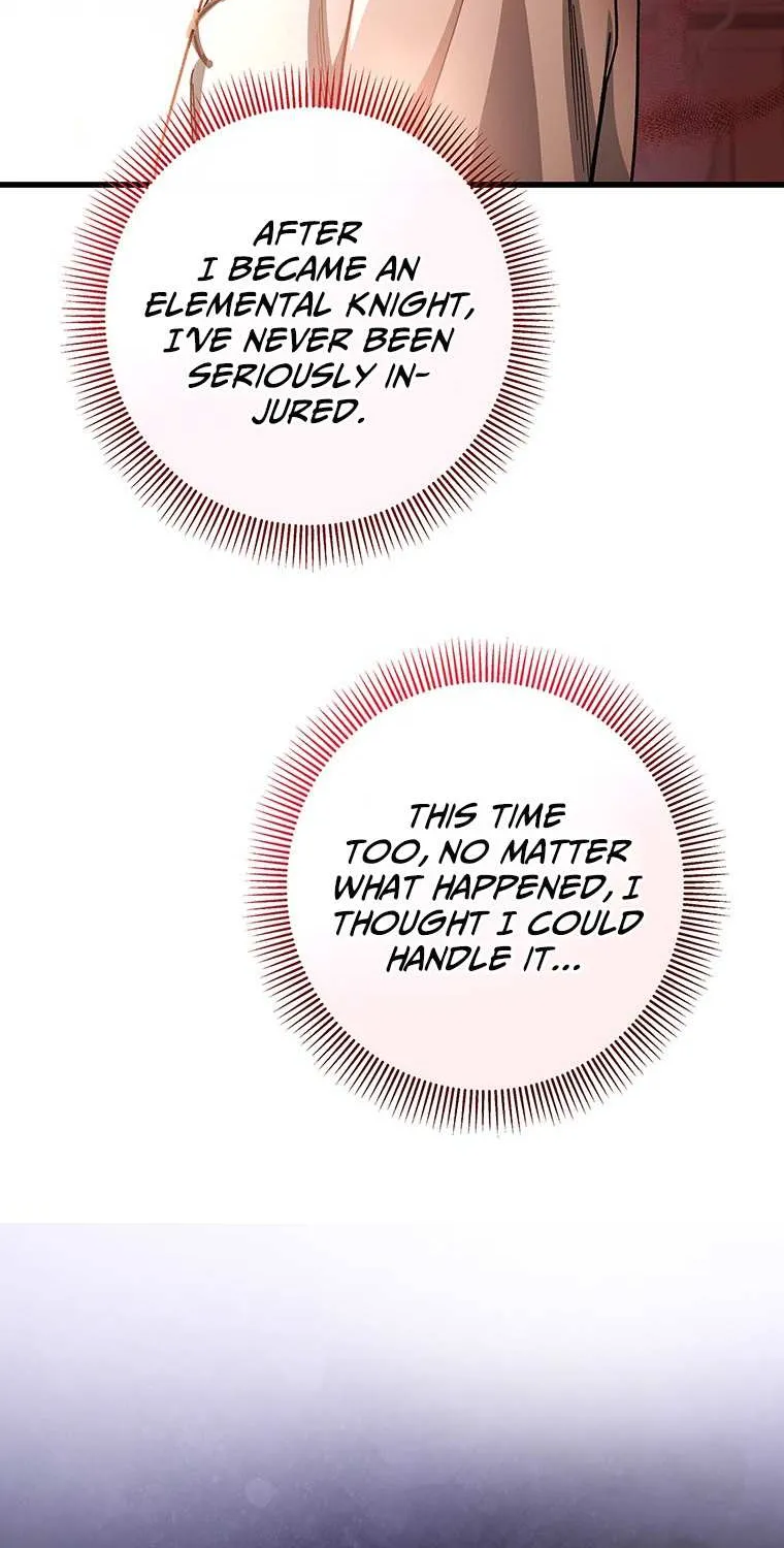 It's My Destiny to Be Hero's Savior Chapter 30 page 97 - 