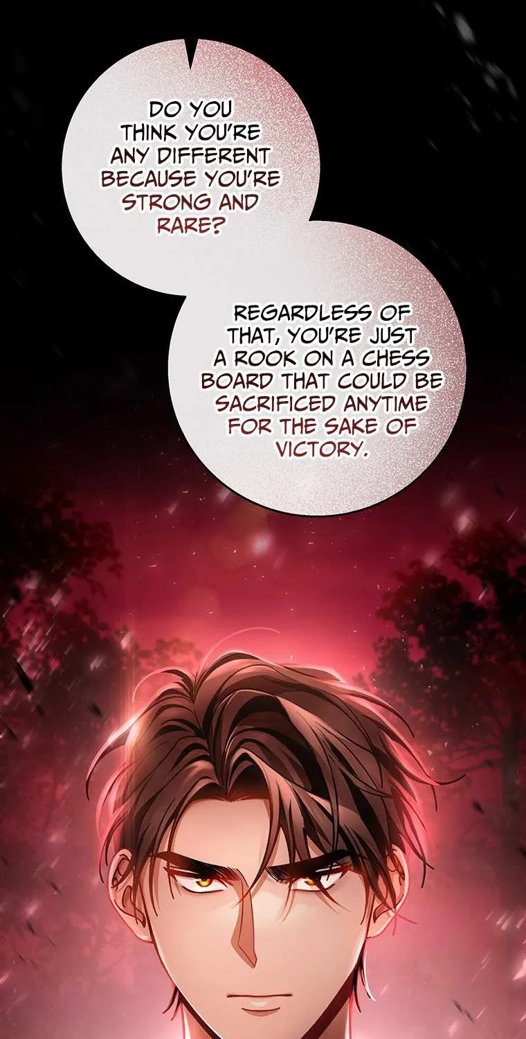 It's My Destiny to Be Hero's Savior Chapter 33 page 13 - 