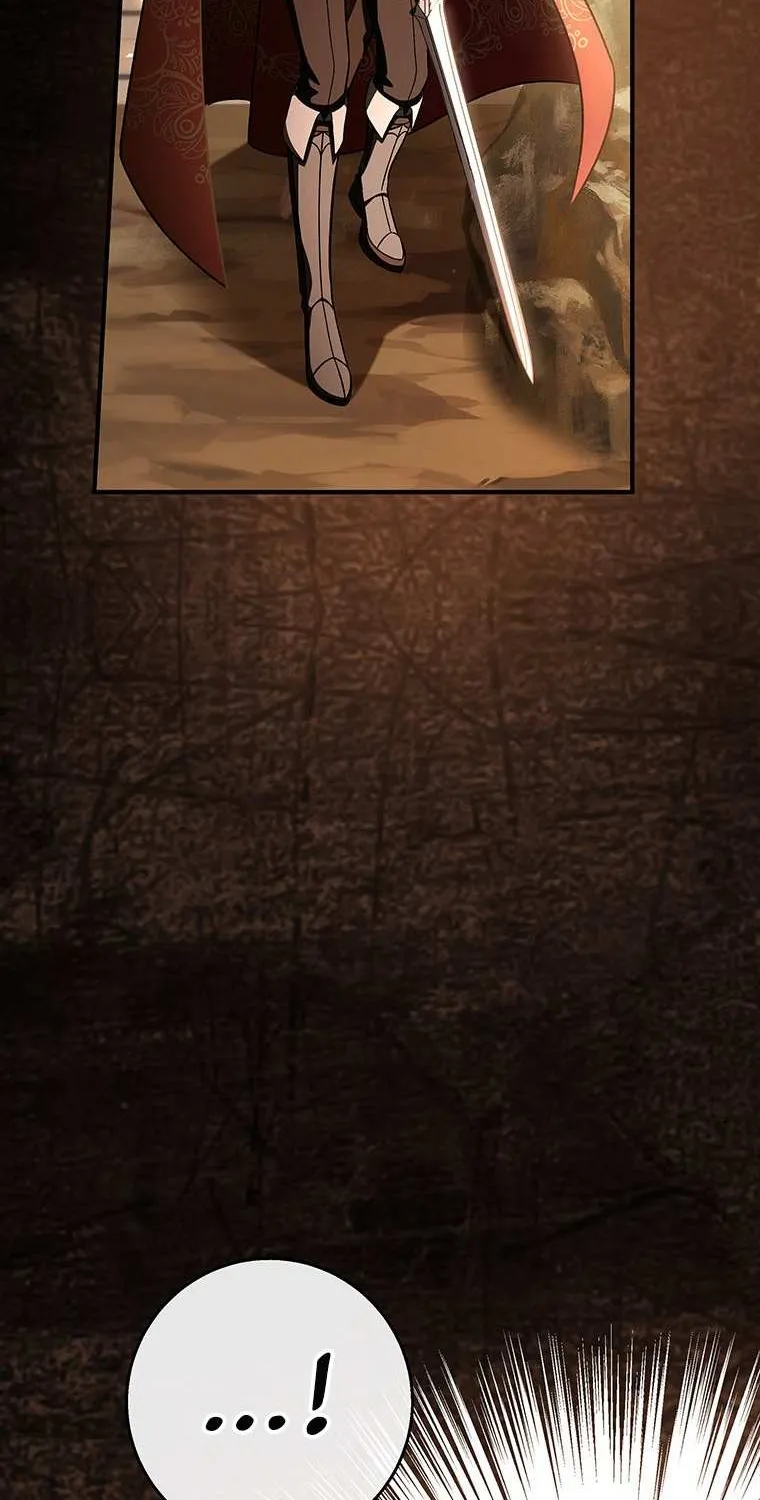 It's My Destiny to Be Hero's Savior Chapter 33 page 77 - 