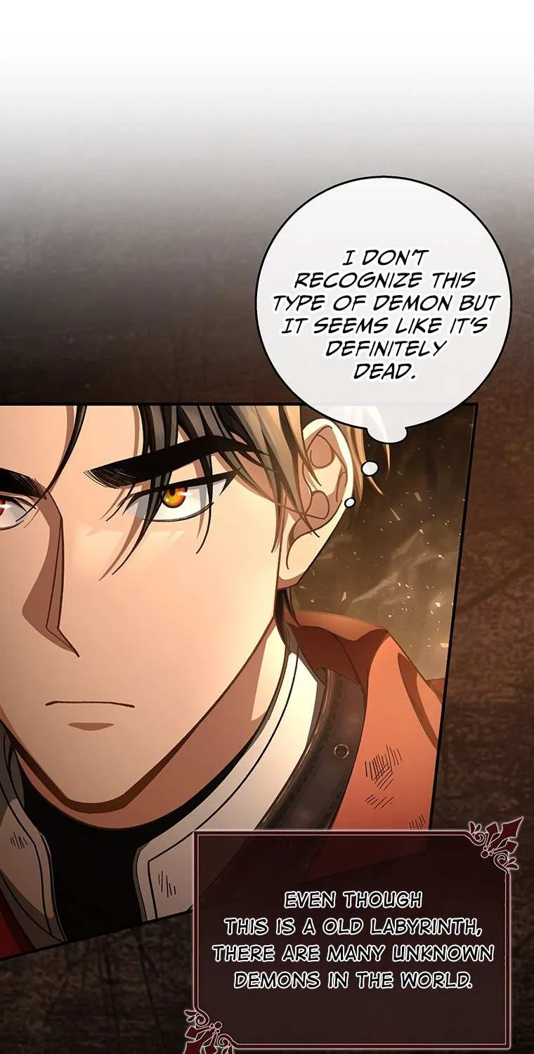It's My Destiny to Be Hero's Savior Chapter 33 page 81 - 