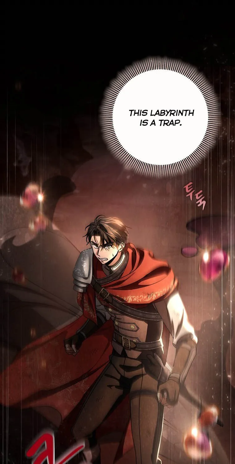 It's My Destiny to Be Hero's Savior Chapter 34 page 83 - 