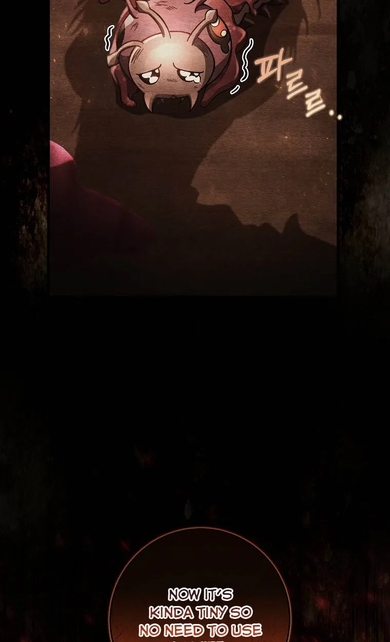It's My Destiny to Be Hero's Savior Chapter 35 page 9 - 