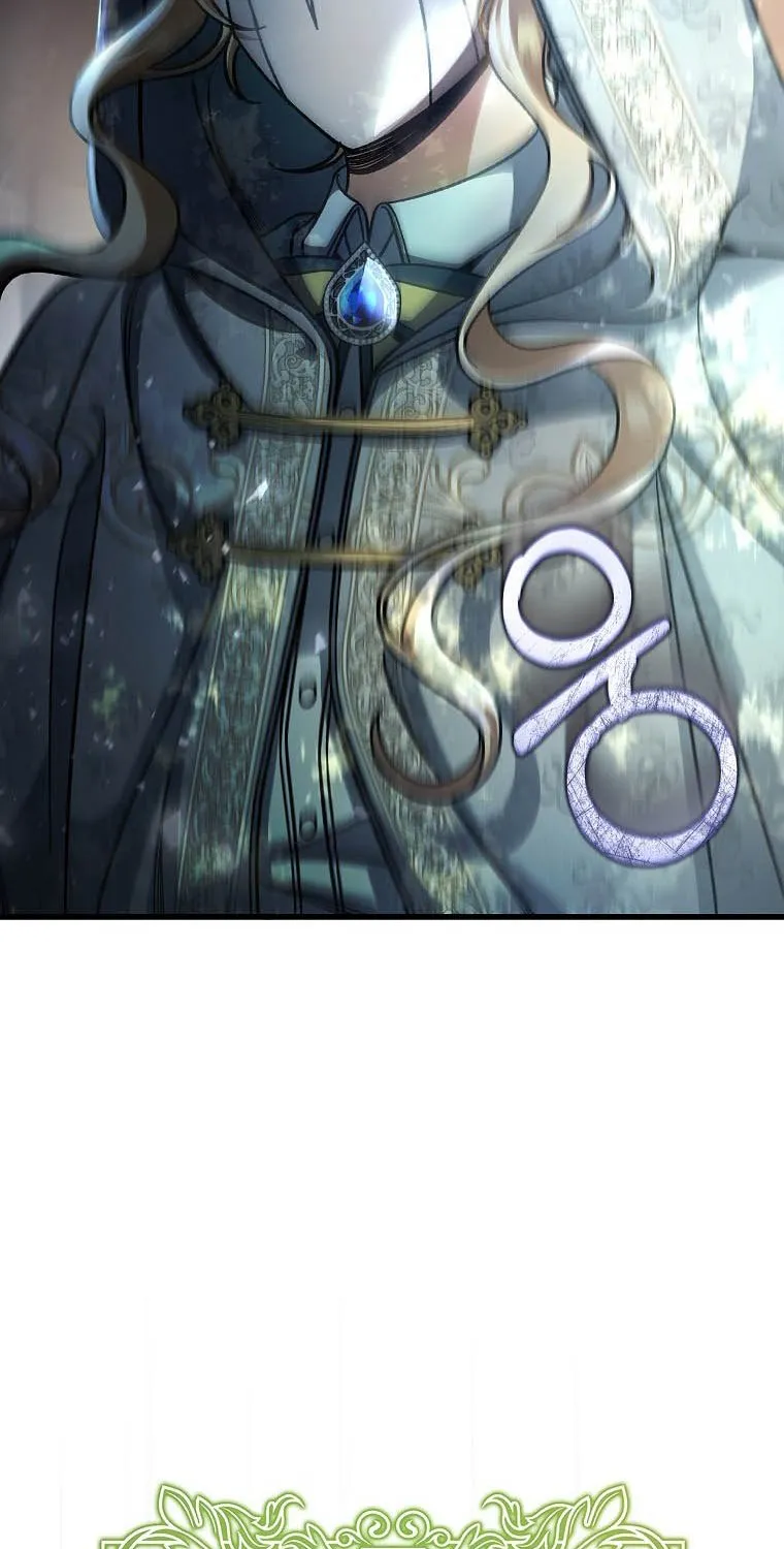 It's My Destiny to Be Hero's Savior Chapter 35 page 90 - 