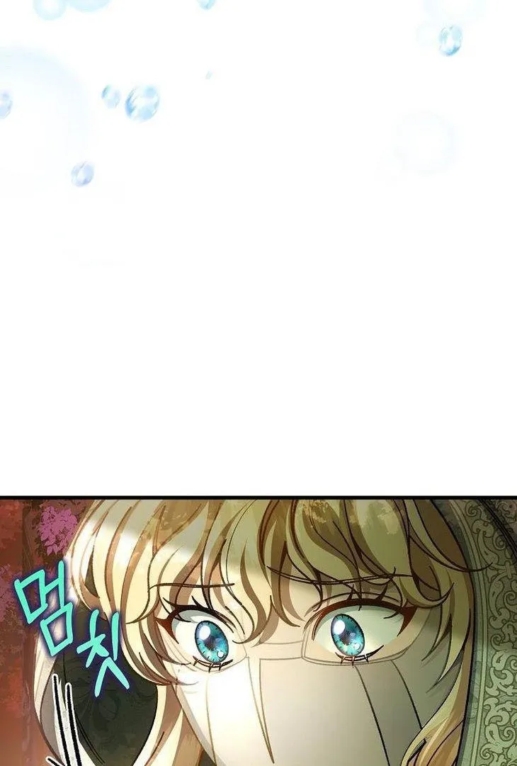 It's My Destiny to Be Hero's Savior Chapter 36 page 28 - 