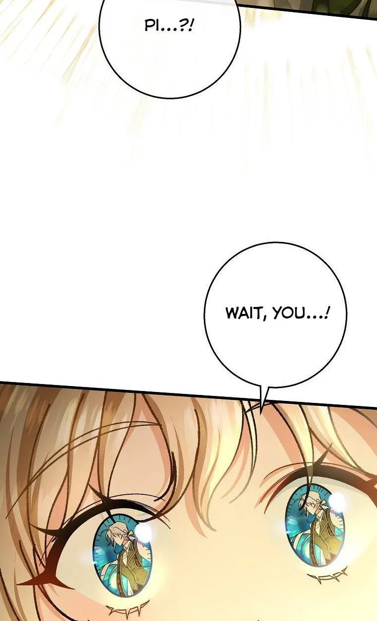 It's My Destiny to Be Hero's Savior Chapter 37 page 17 - 