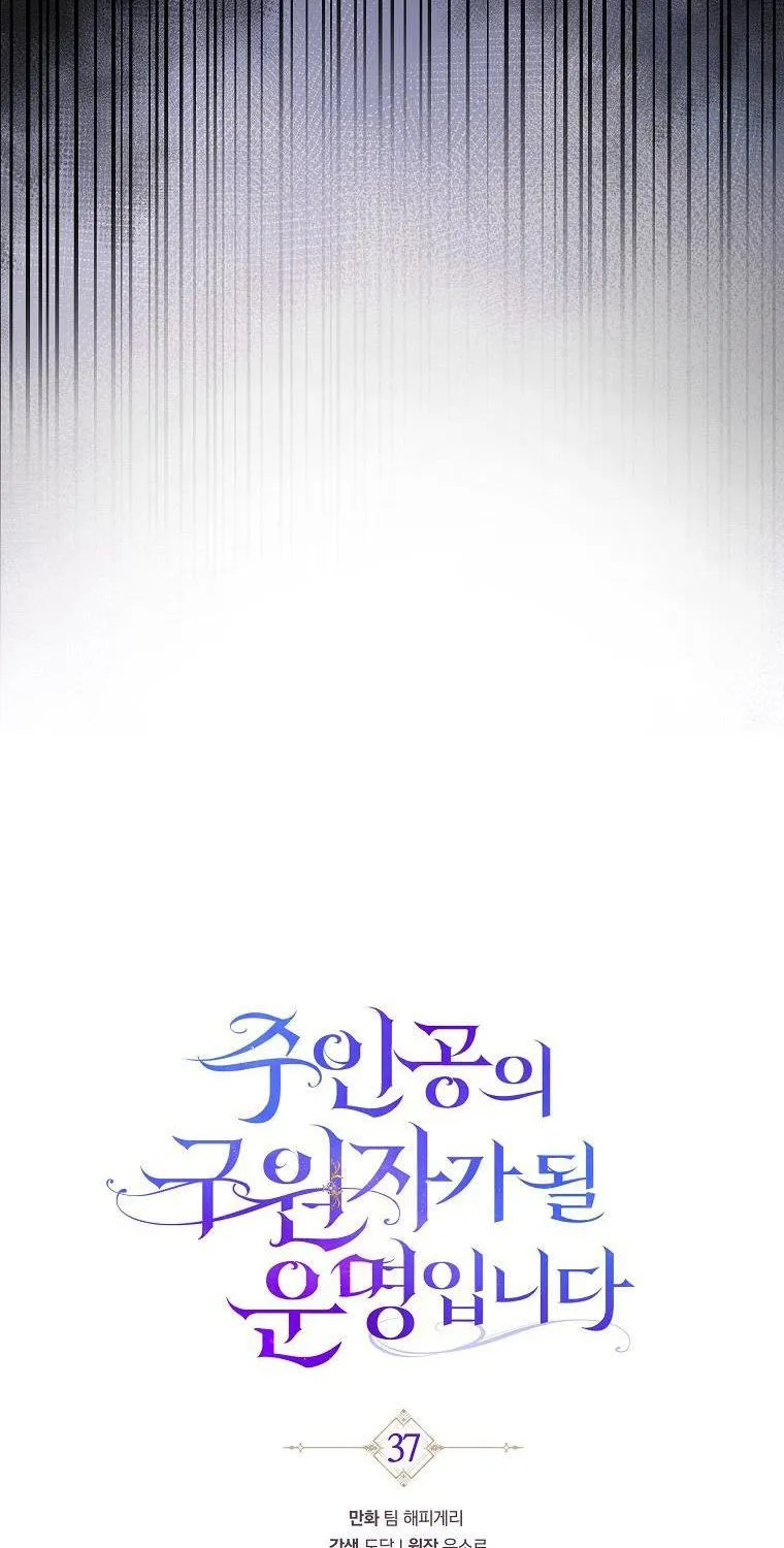 It's My Destiny to Be Hero's Savior Chapter 37 page 37 - 