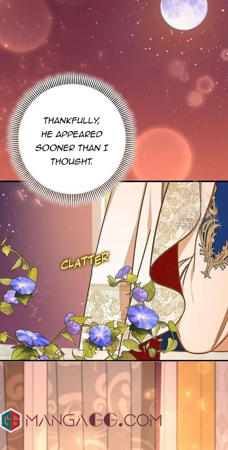 It's My Destiny to Be Hero's Savior Chapter 39 page 84 - 