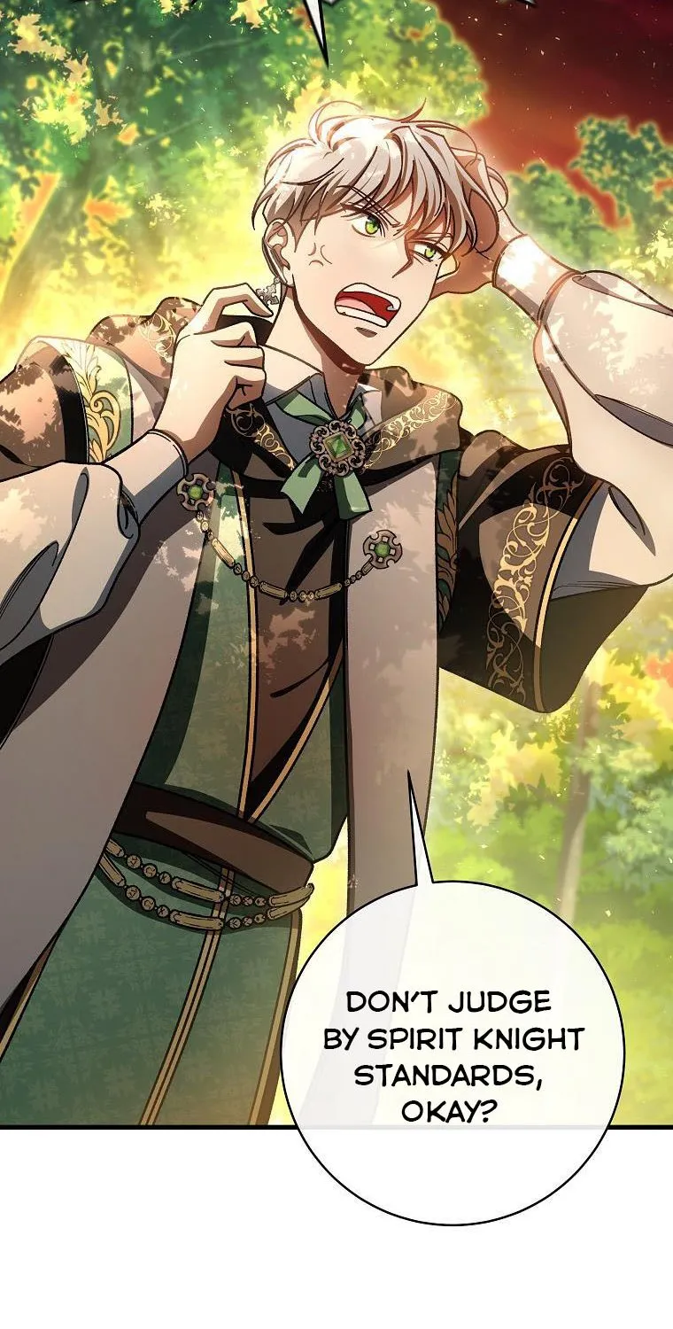 It's My Destiny to Be Hero's Savior Chapter 43 page 17 - 
