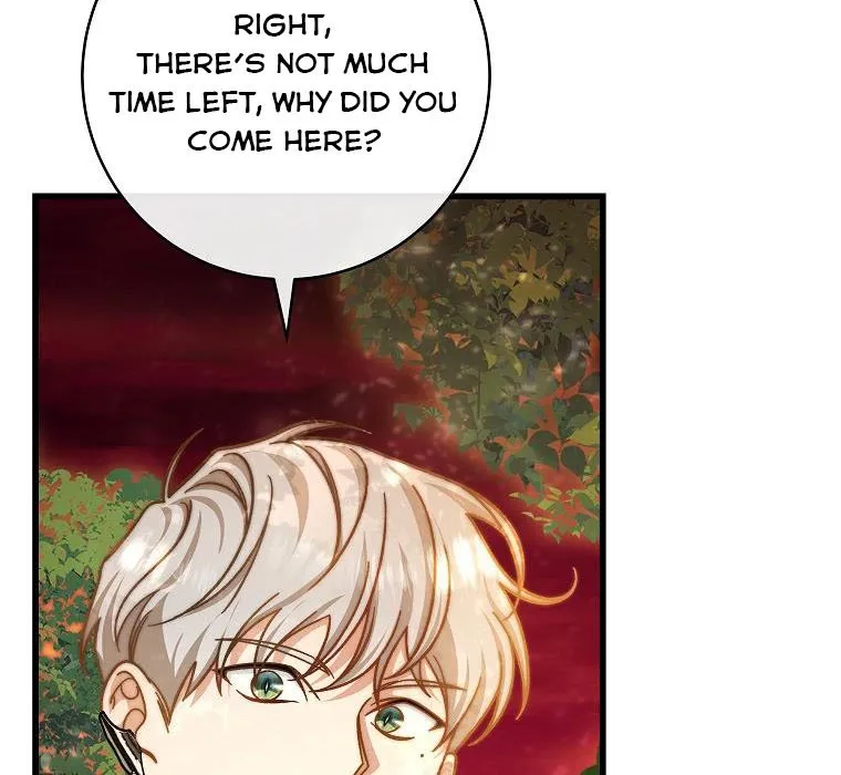 It's My Destiny to Be Hero's Savior Chapter 44 page 12 - 