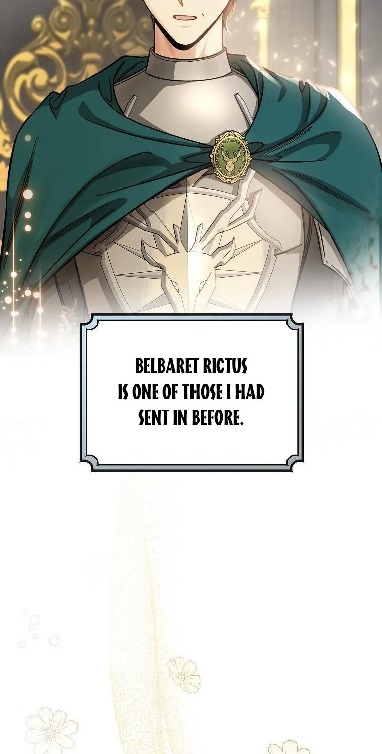 It's My Destiny to Be Hero's Savior Chapter 47 page 13 - 