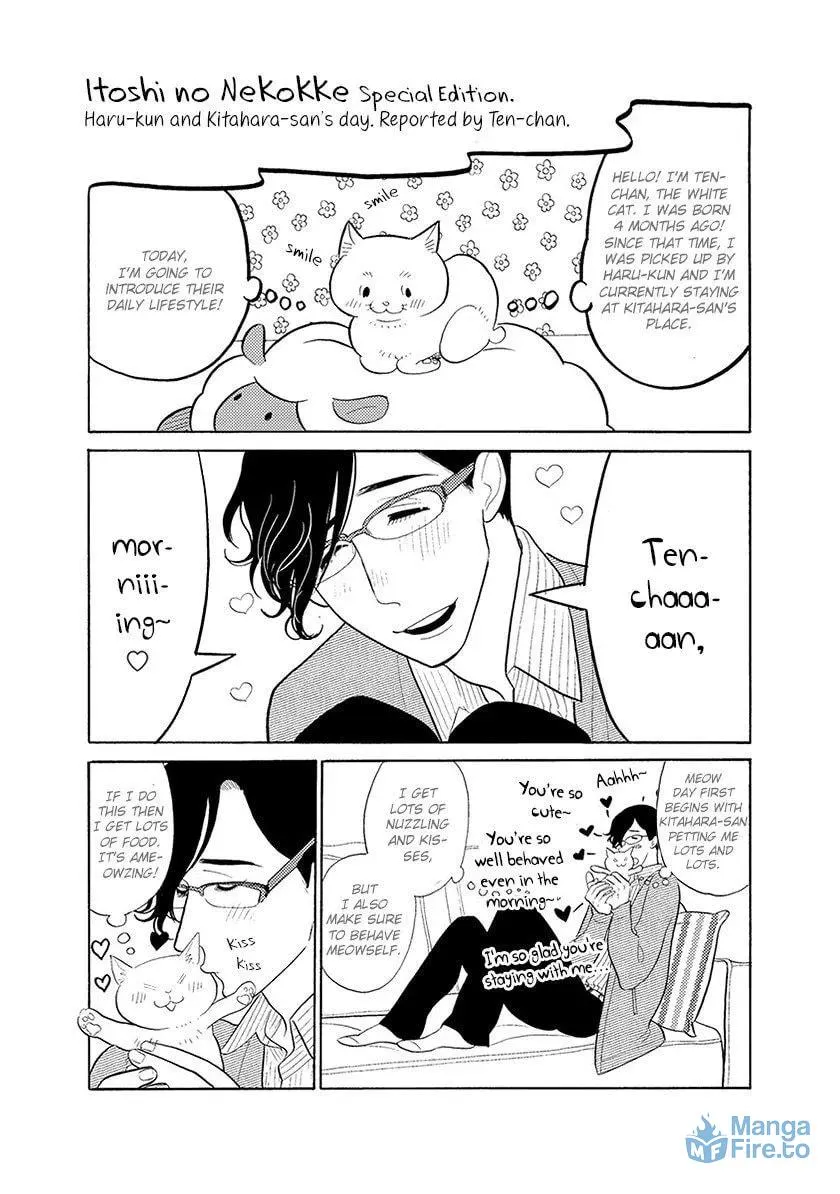 Itoshi no Nekokke: Otaru-hen Chapter 33 page 21 - 