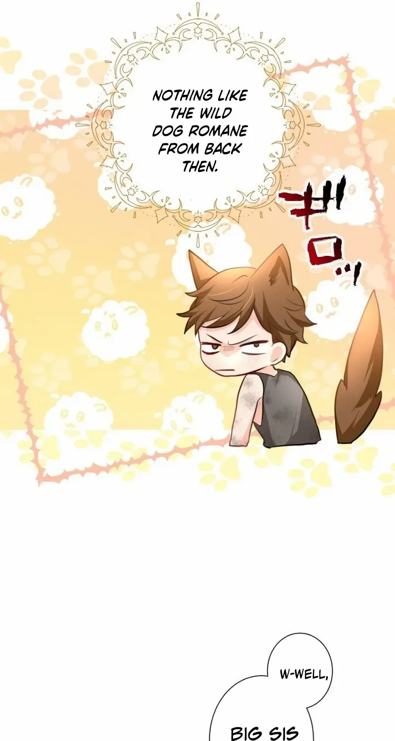 It’s not a case of being loved Chapter 15 page 37 - 
