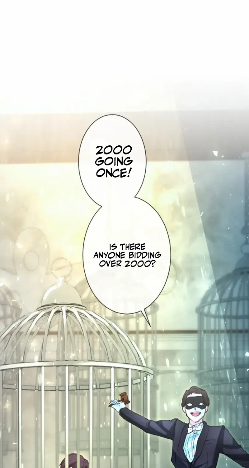 It’s not a case of being loved Chapter 46 page 66 - 