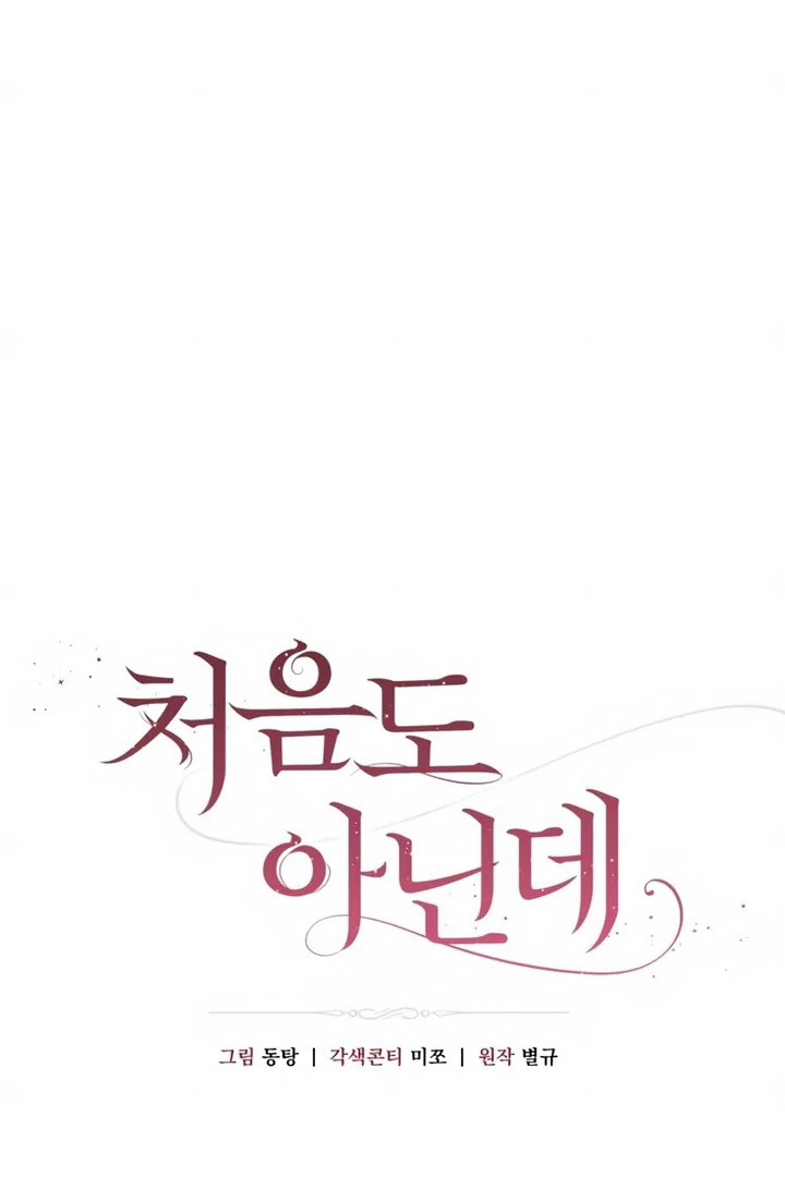 It’s Not The First Time Chapter 42 page 47 - 