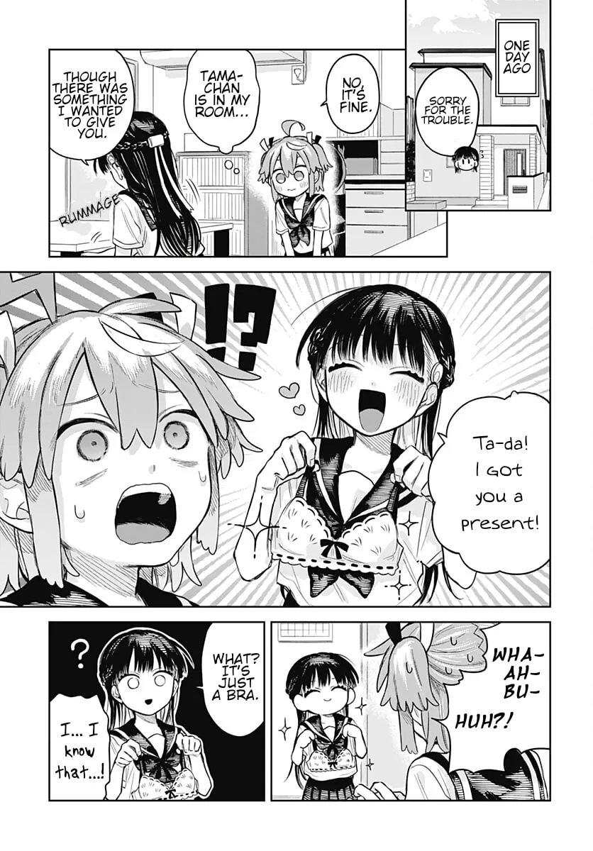 Josou Danshi wa Skirt o Nugitai! Chapter 5 page 2 - 