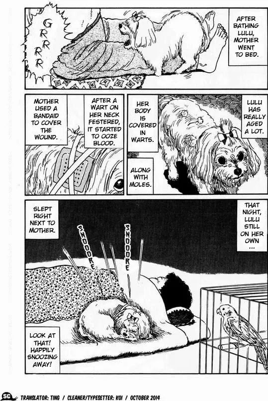 Junji Ito Horror Comic Collection Chapter 94 page 5 - 
