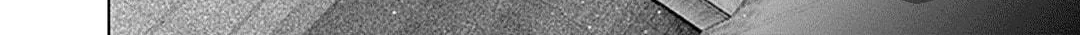 Junket Bank Chapter 37 page 29 - 