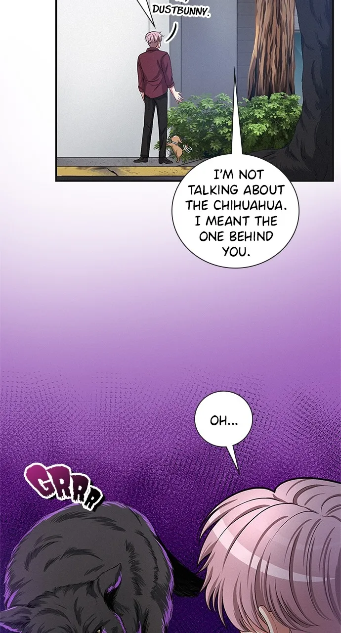 K.O! Chapter 24 page 12 - 