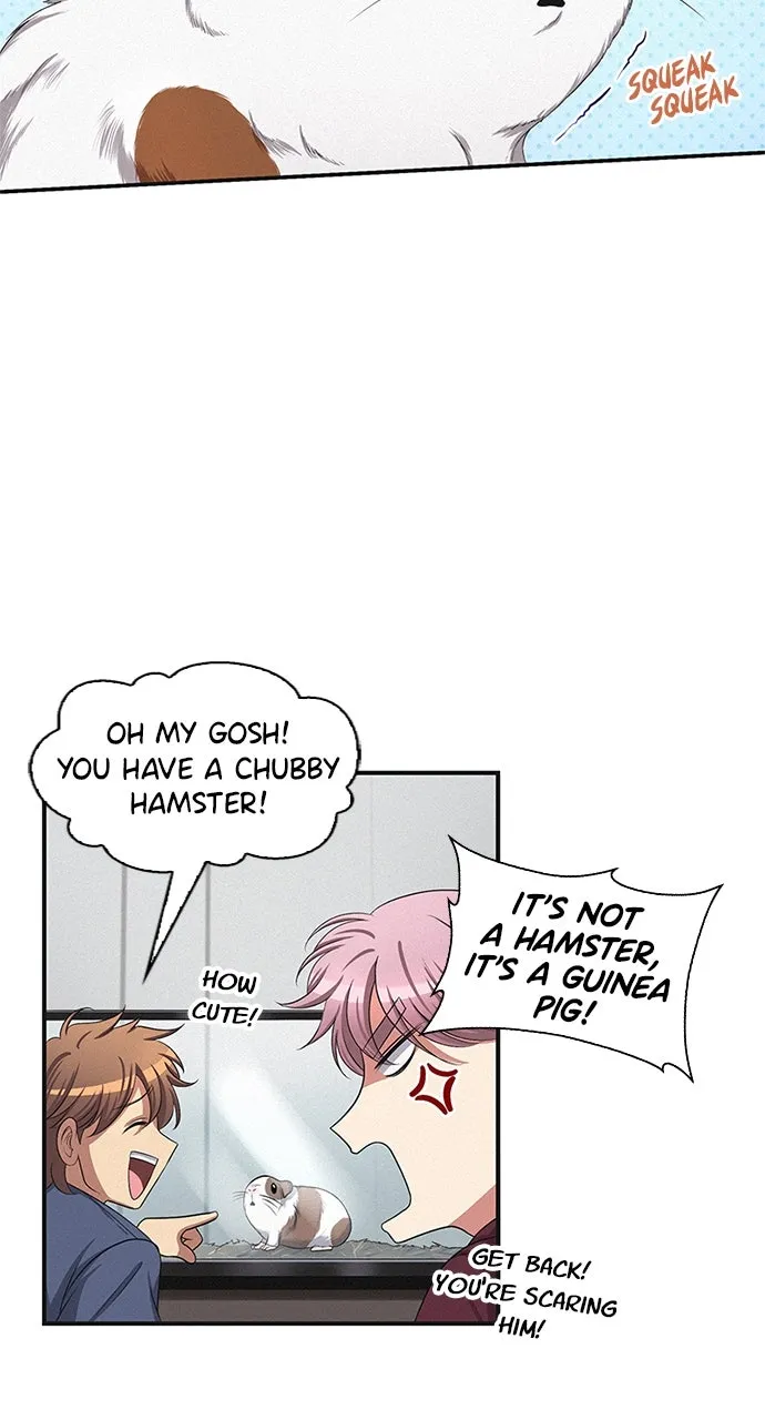K.O! Chapter 24 page 39 - 