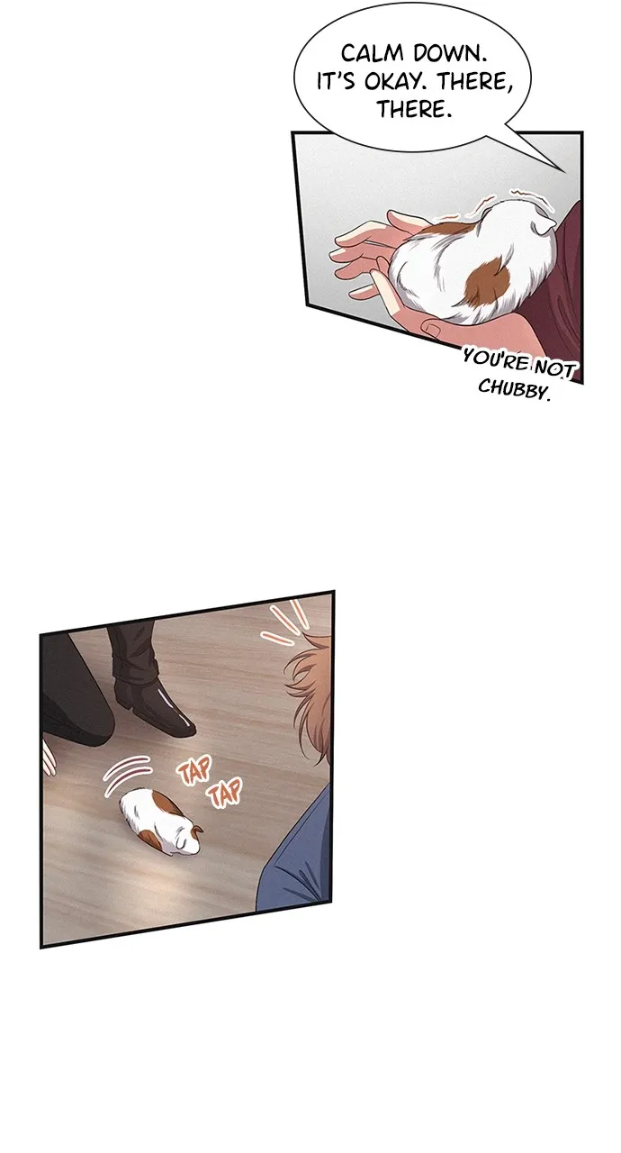 K.O! Chapter 24 page 40 - 