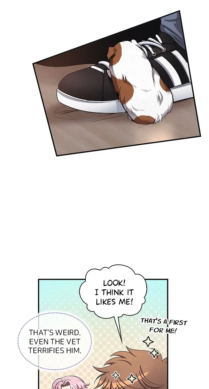K.O! Chapter 24 page 41 - 