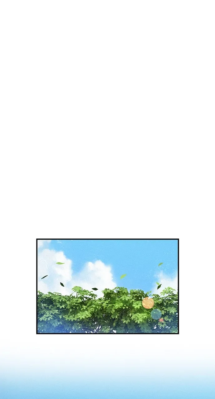 K.O! Chapter 31 page 66 - 