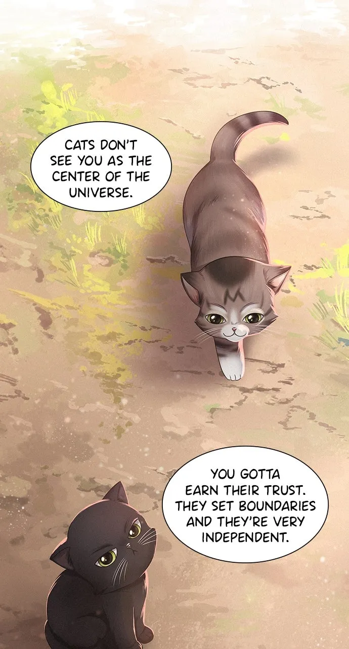 K.O! Chapter 42 page 42 - 