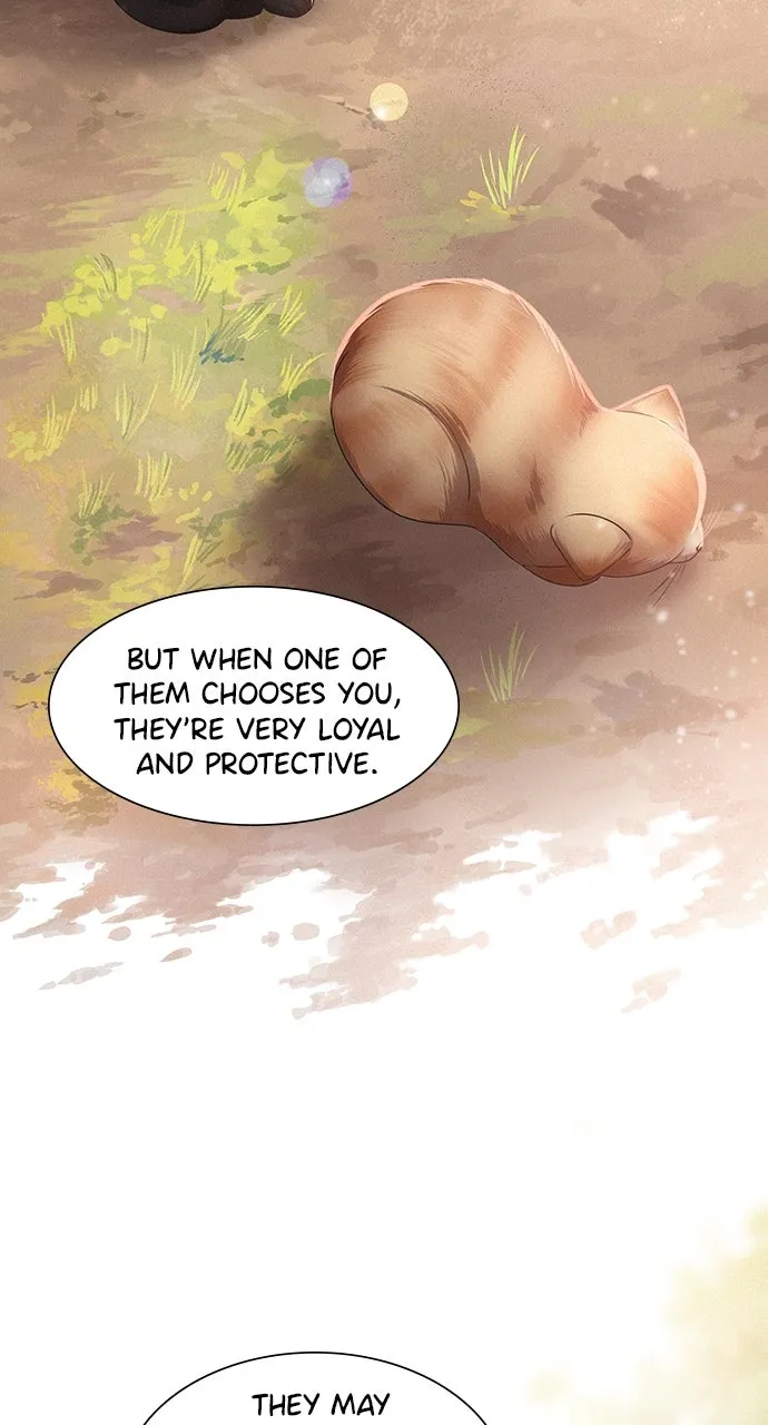 K.O! Chapter 42 page 43 - 