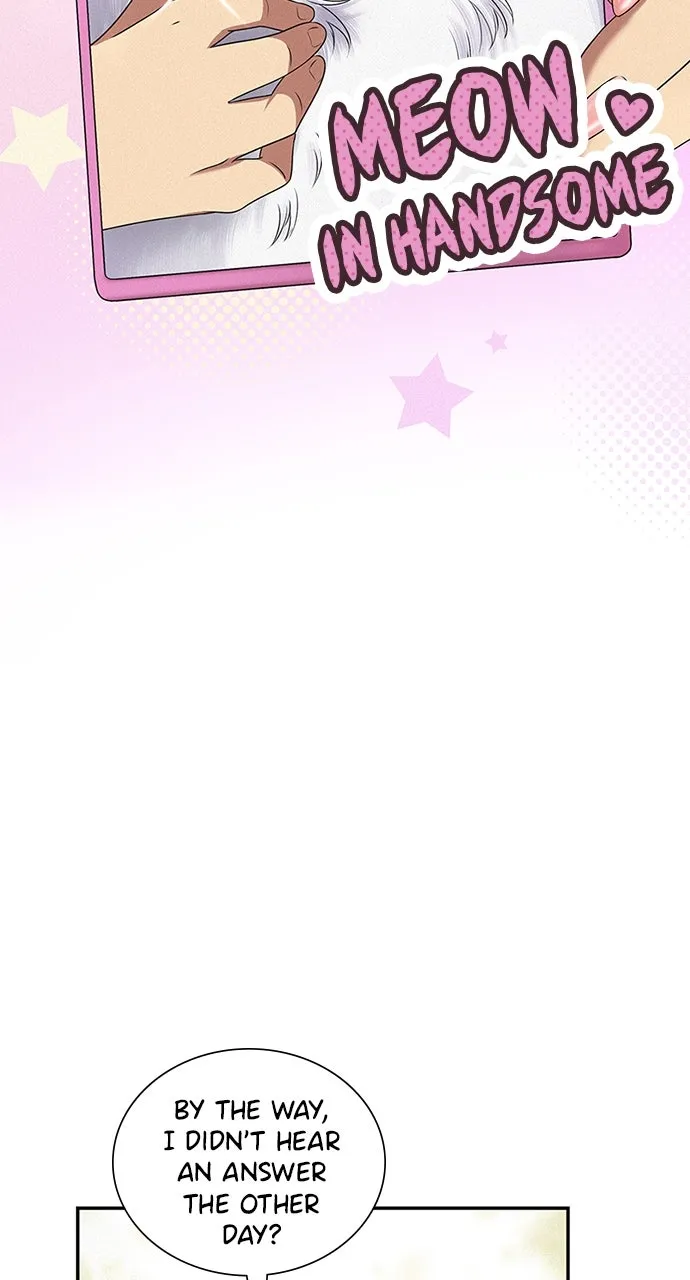 K.O! Chapter 42 page 51 - 