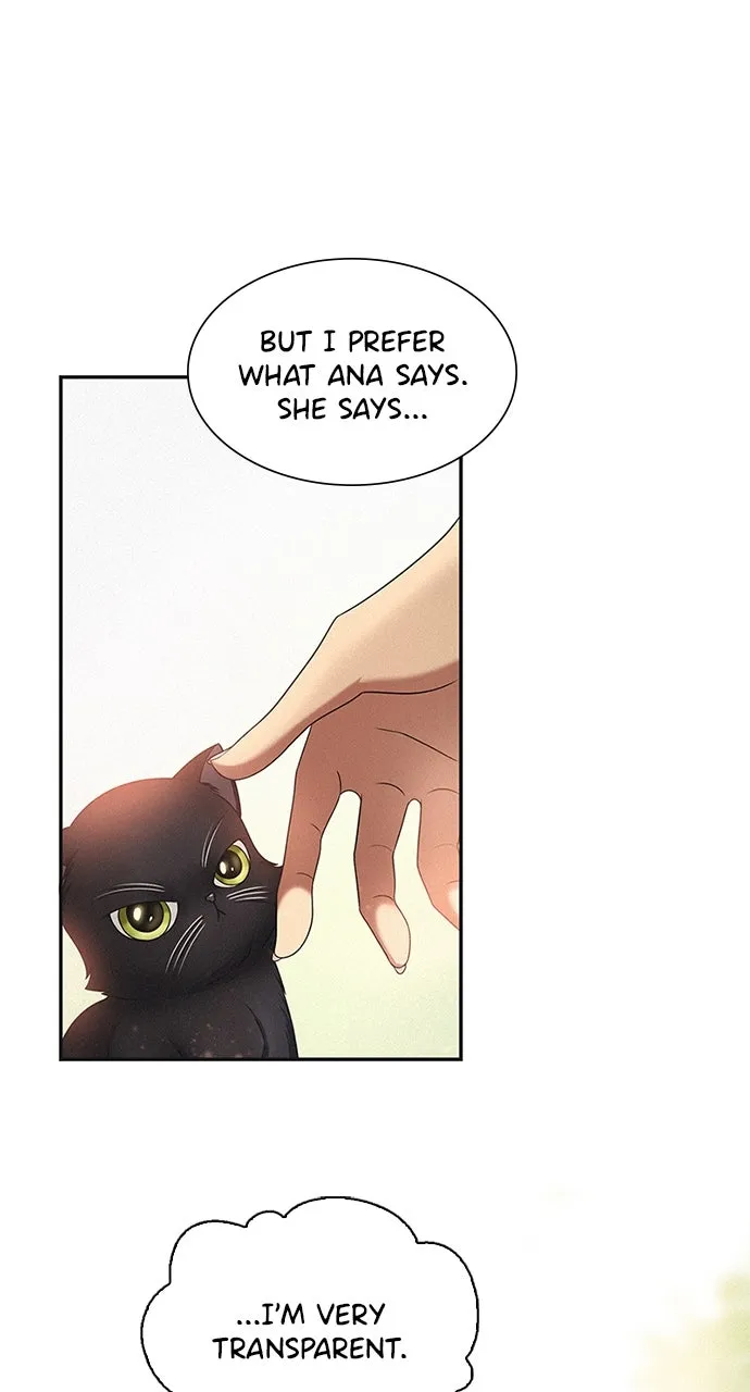 K.O! Chapter 42 page 62 - 