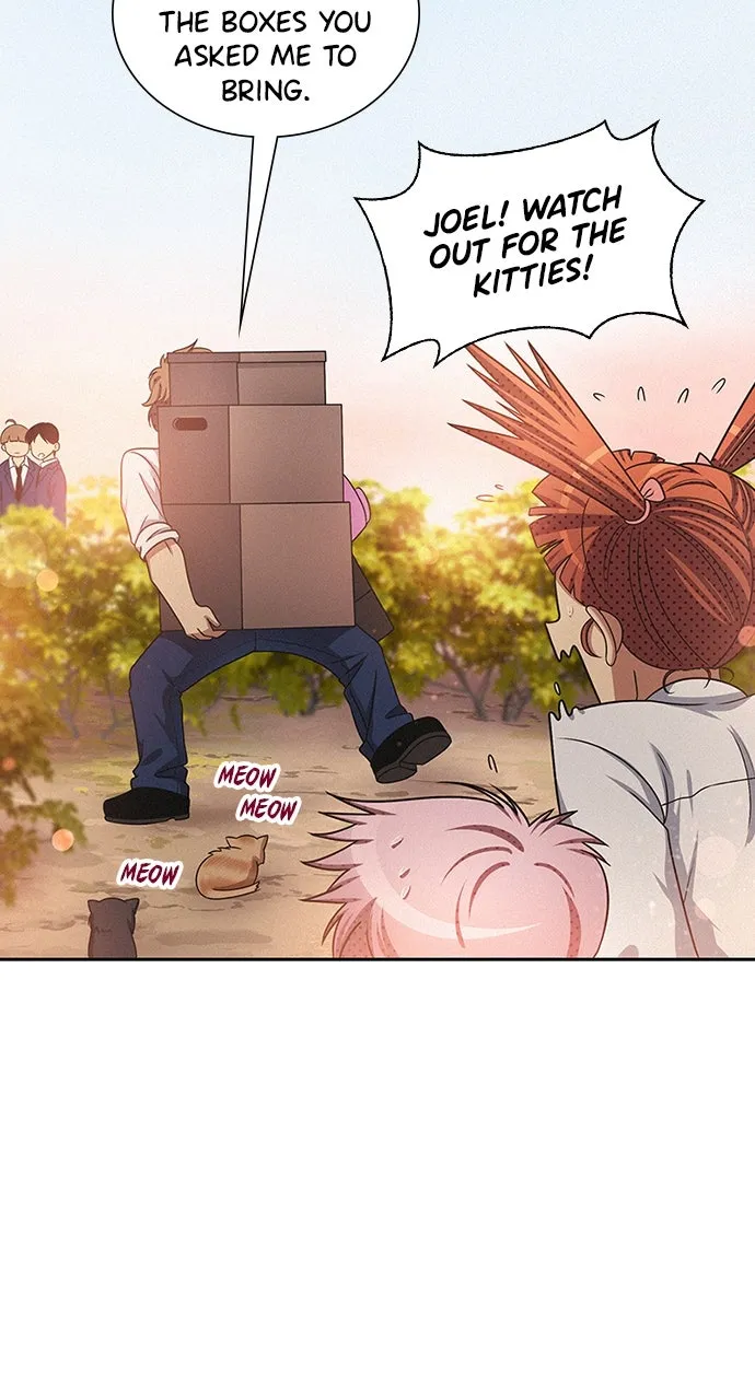 K.O! Chapter 42 page 68 - 